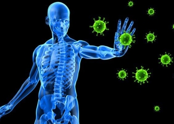 Items That Can Boost Your Immune System During Quarantine
