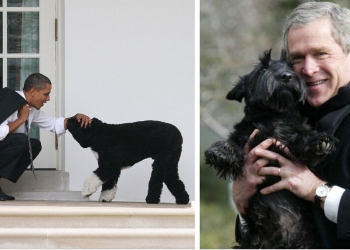 World Leaders And Their Pups