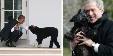 World Leaders And Their Pups