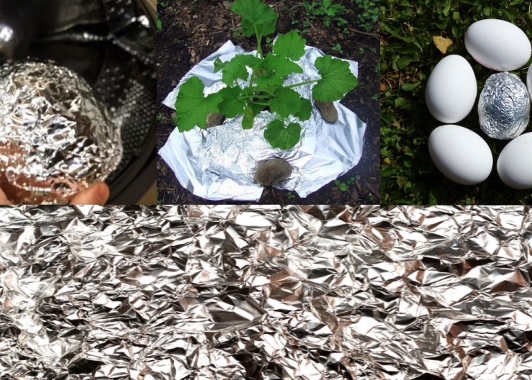 Ultimate Life Hacks: Things You Never Knew About Aluminum Foil And Plastic Wrap
