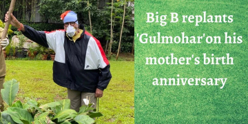 Post COVID-19 Recovery, Amitabh Bachchan Steps Out to Plant A Tree In Mother’s Memory