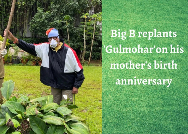 Post COVID-19 Recovery, Amitabh Bachchan Steps Out to Plant A Tree In Mother’s Memory