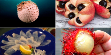 I am Your Favorite Exotic Delicacy, But I Can Kill You!